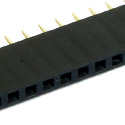 Burg Strip Female 10mm Straight