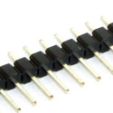 Burg Strip Male 10mm Straight